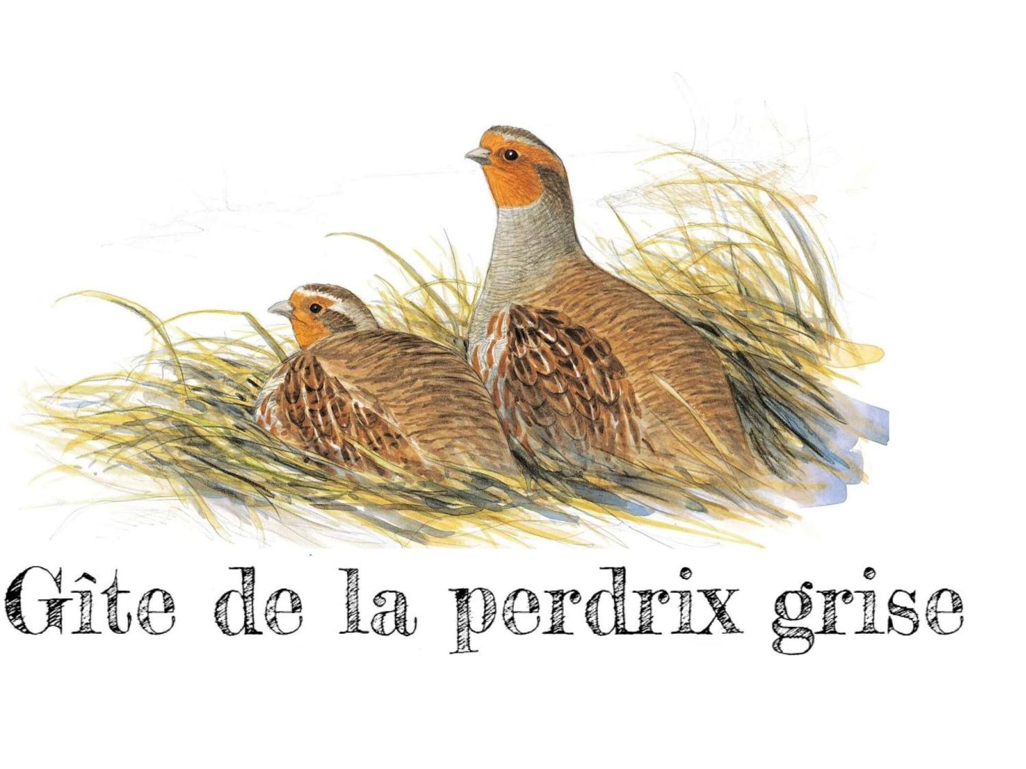 Charmante Maison De Campagne Avec Jardin Prive, Pres De Paris Et Orleans, Ideale Pour Familles - Fr-1-590-136 Audeville Bagian luar foto
